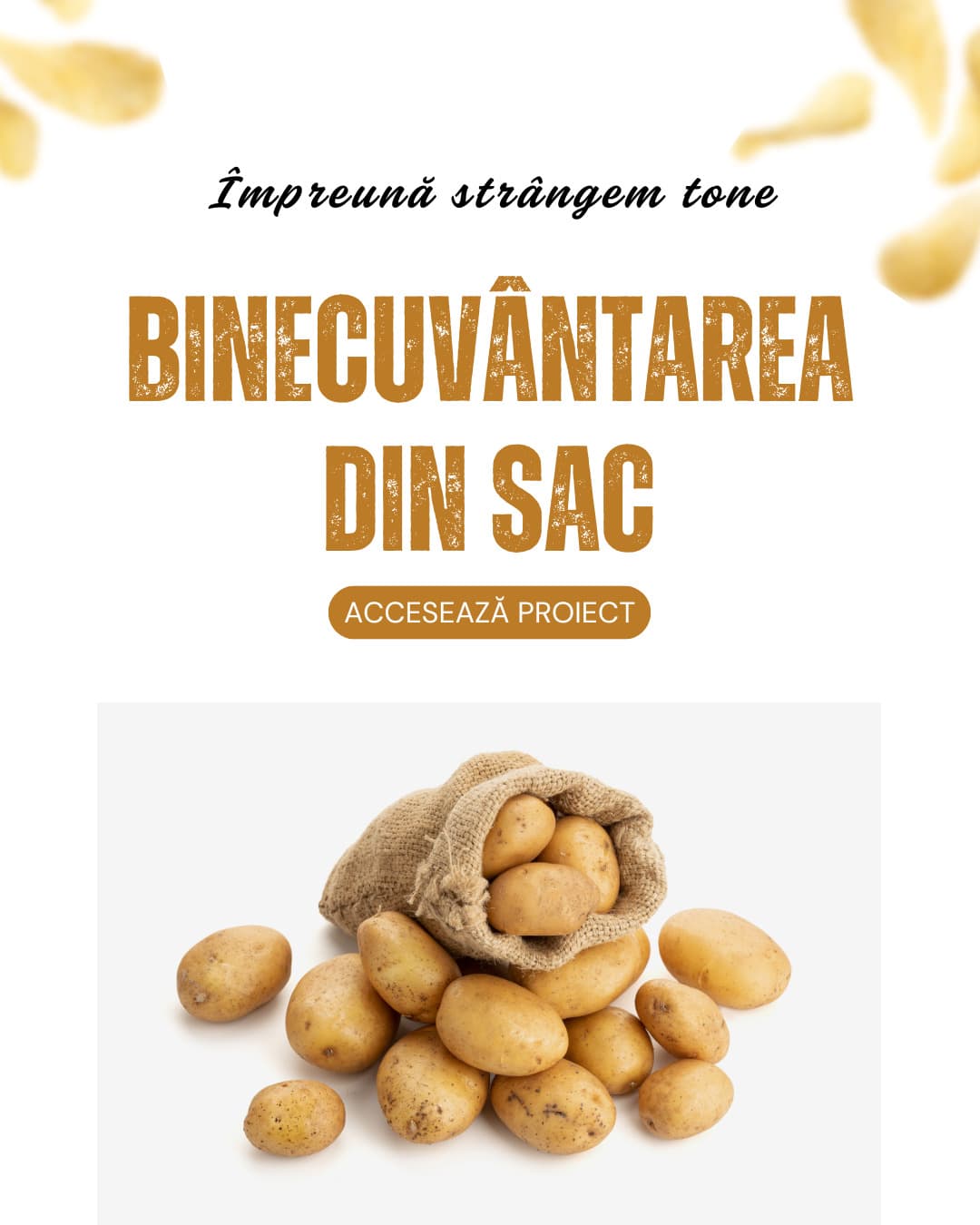 Proiect Proiectul „Binecuvântarea din sac”